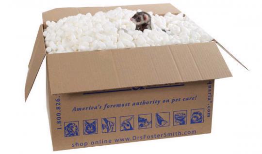 ���� �������