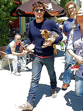 ������ � �� �������. ����� ��������