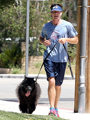 ������ � �� �������. ����� ��������