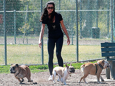 ������ � �� �������. ����� ��������