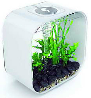 Biorb Life Collection � ������������ ������������ ���������