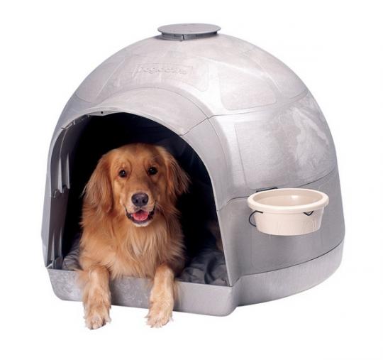 ���� ��� ������