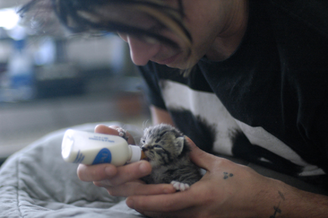 ��������� � �� ����