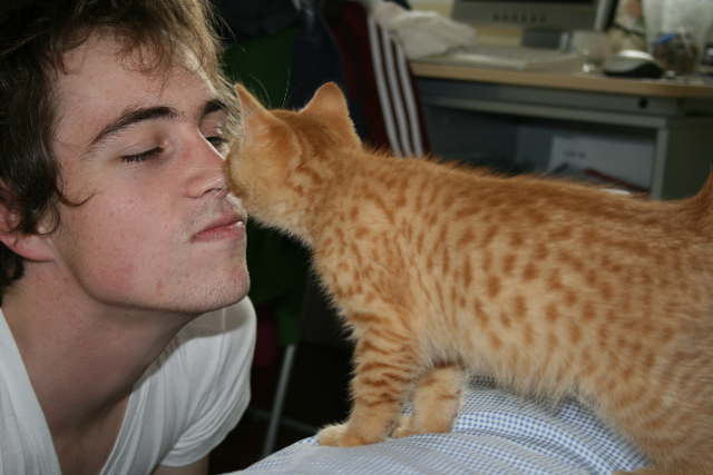 ��������� � �� ����