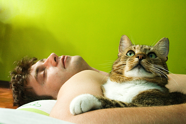 ��������� � �� ����