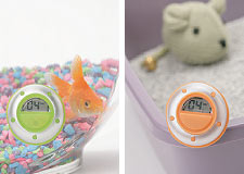 ���-�� � ������� ���� �����