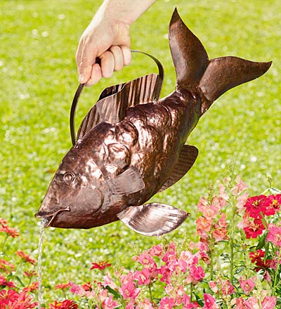 ����� ��� ��������� ��������