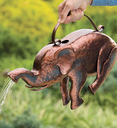 ����� ��� ��������� ��������