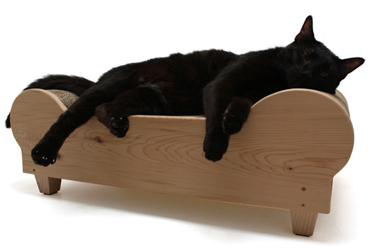 Два в одном для кошек Два в одном для кошек