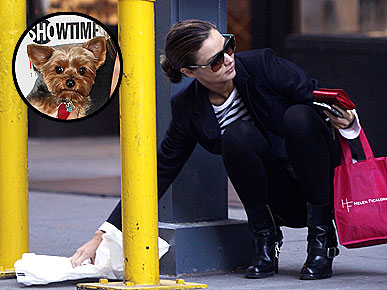 ����������� ������� ��� ��� ������ ������� �� ��������