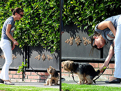 ����������� ������� ��� ��� ������ ������� �� ��������