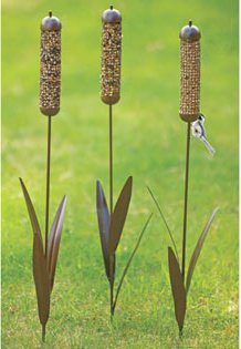 ����� �����