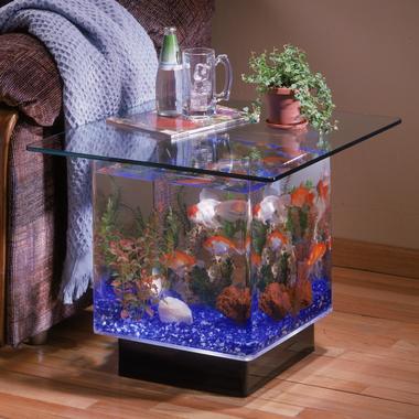 �� ������ � �������