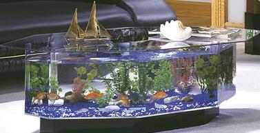 �� ������ � �������