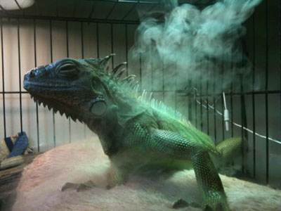 �������������� ��������� ������