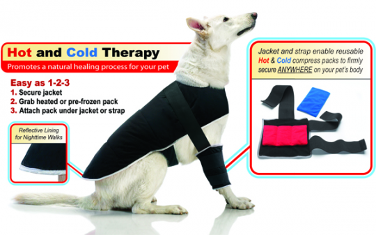 ������ ��� ��������