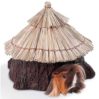 ������� ���