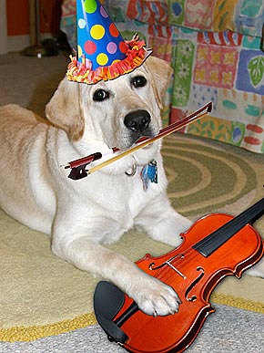 �� ���, �����?