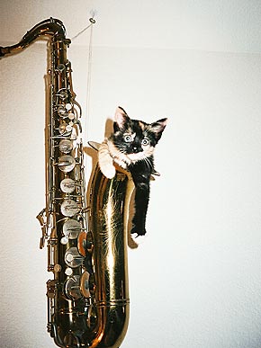 �� ���, �����?