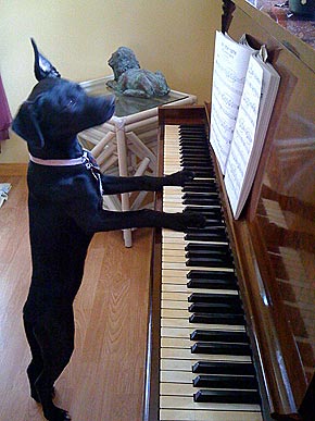 �� ���, �����?