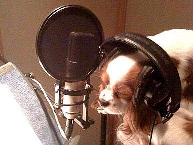 �� ���, �����?