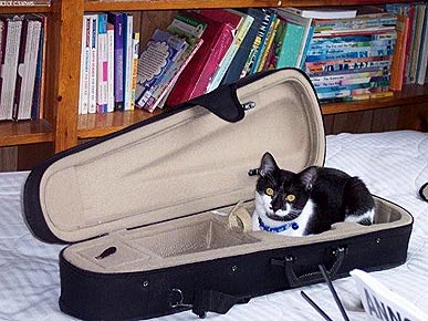 �� ���, �����?