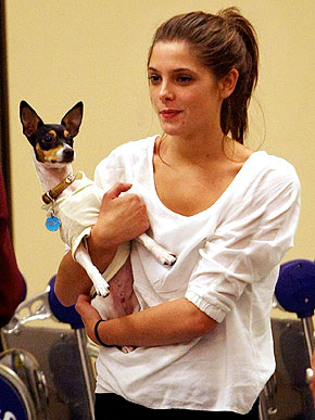 ������ � �� �������, ������������ �������� ������.