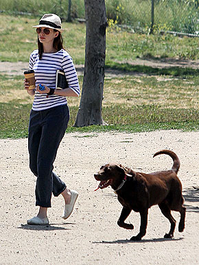 ������ � �� �������, ������������ �������� ������.