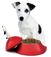 ������������ ������ ��� �����