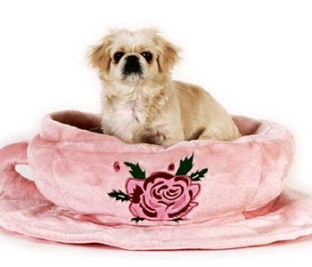 ��� ���� � ������� ��� � �����?