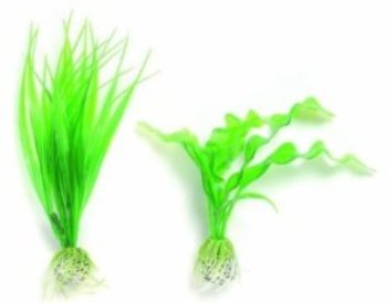 ������������ �������� ��� ������ ���������