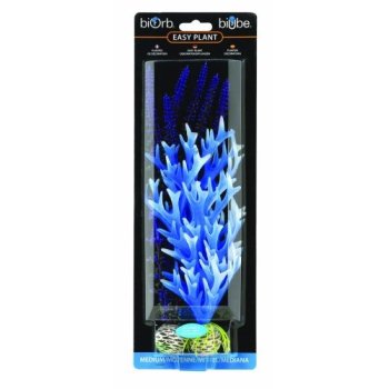 ������������ �������� ��� ������ ���������