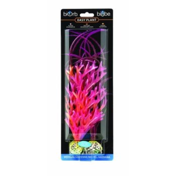 ������������ �������� ��� ������ ���������