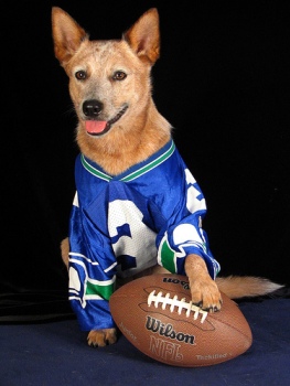 ��� ������������ ���������� �������