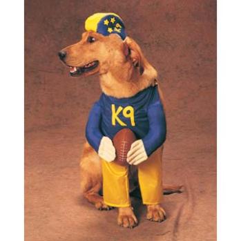 ��� ������������ ���������� �������