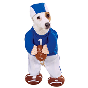 ��� ������������ ���������� �������