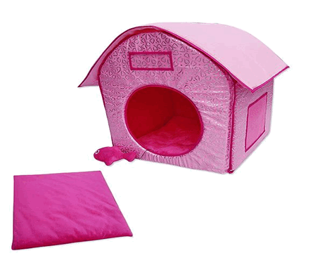 ��� ����� ���