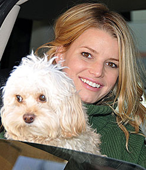 ����� ��������� ������� � �������� ��������