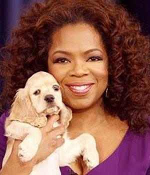 ����� ��������� ������� � �������� ��������