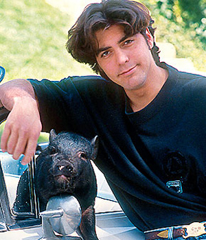 ����� ��������� ������� � �������� ��������