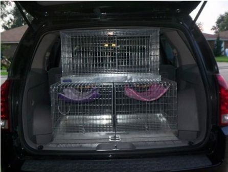 � ���� - � ���������