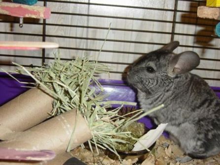 � ���� - � ���������