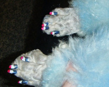 ��������� �������