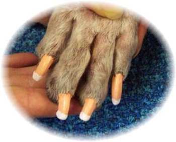 ��������� �������