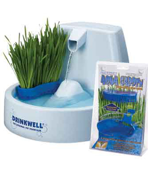 ��������� ��� �����