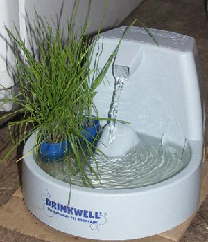 ��������� ��� �����