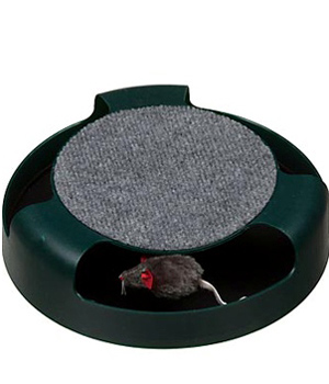 ������� ��� �����