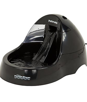 �������� ������ ��� ��������