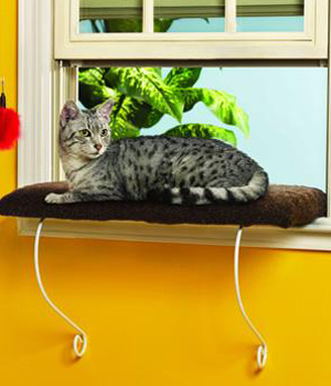 Лежанка для ленивых кошек Лежанка для ленивых кошек