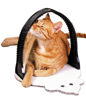 �������� �������������� ��� �����